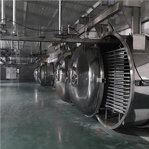 Stor fødevarefrysetørrer med 1000 kg kapacitet